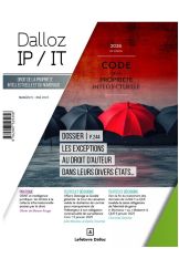 Dalloz IP/IT