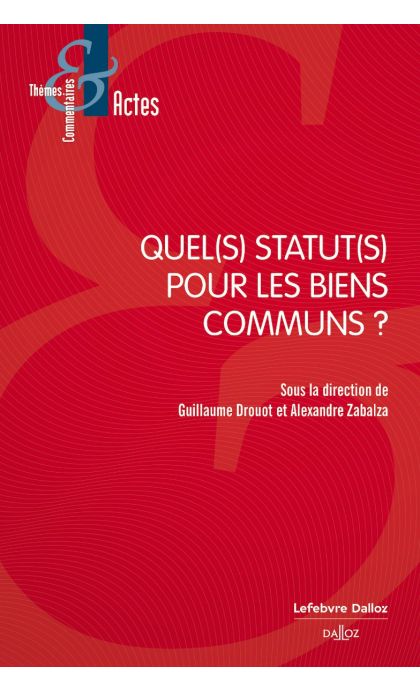 Quel(s) statut(s) pour les biens communs ?