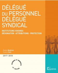 Délégué du personnel, délégué syndical 2017/2018