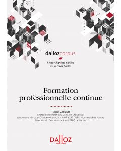 Formation professionnelle continue