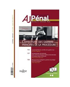 L’effectivité des grands principes de la procédure