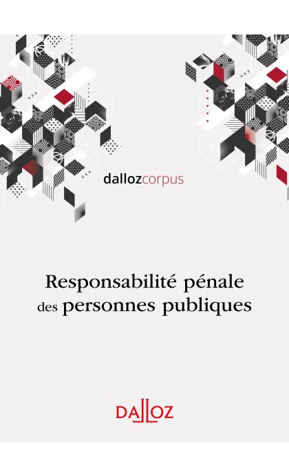 Responsabilité pénale des personnes publiques