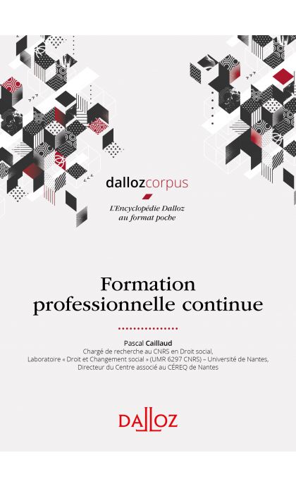 Formation professionnelle continue